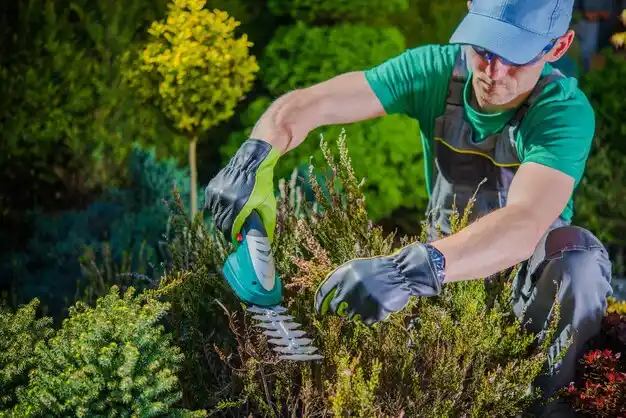 landscaping services Haverhill